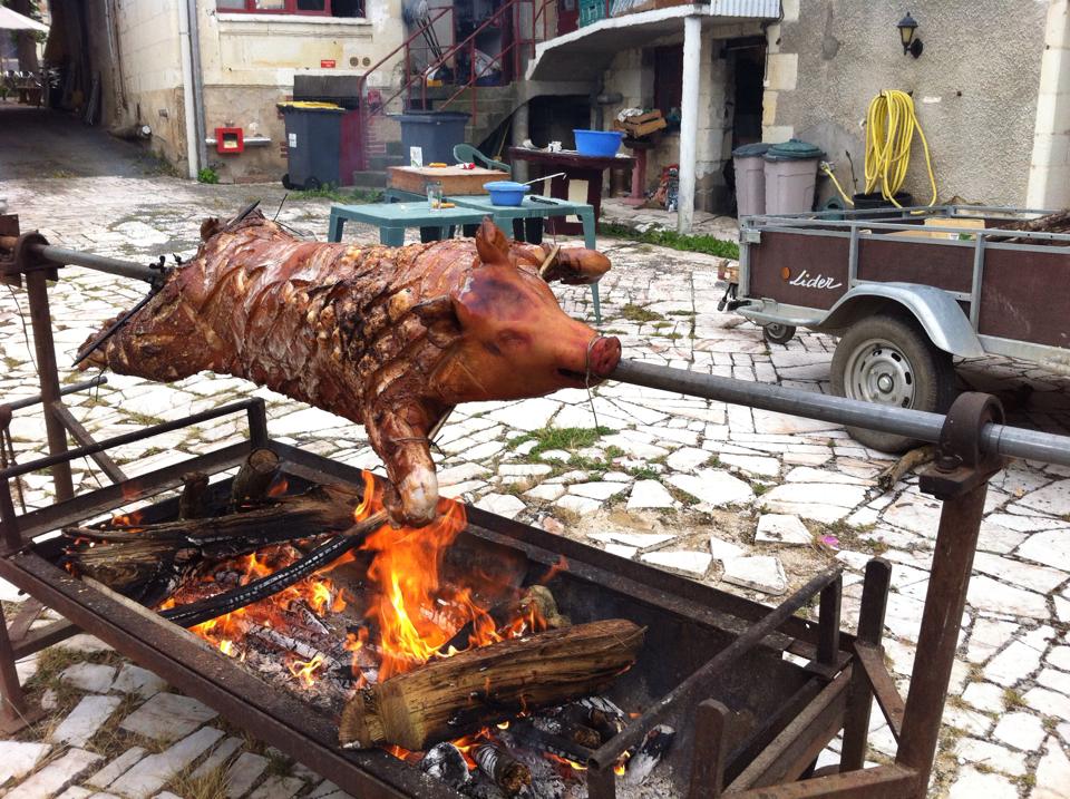 cochon